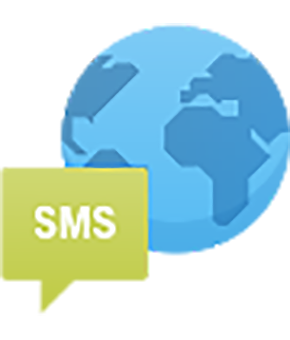 International SMS 100